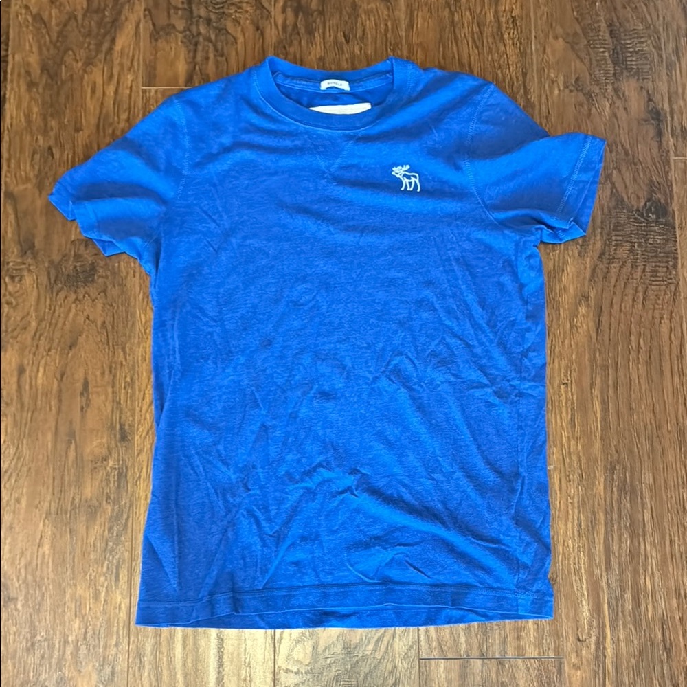 Abercrombie & Fitch Blue T-Shirt, Men’s Large, Blue